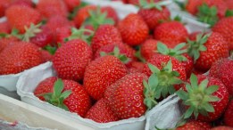 strawberries-823782__340